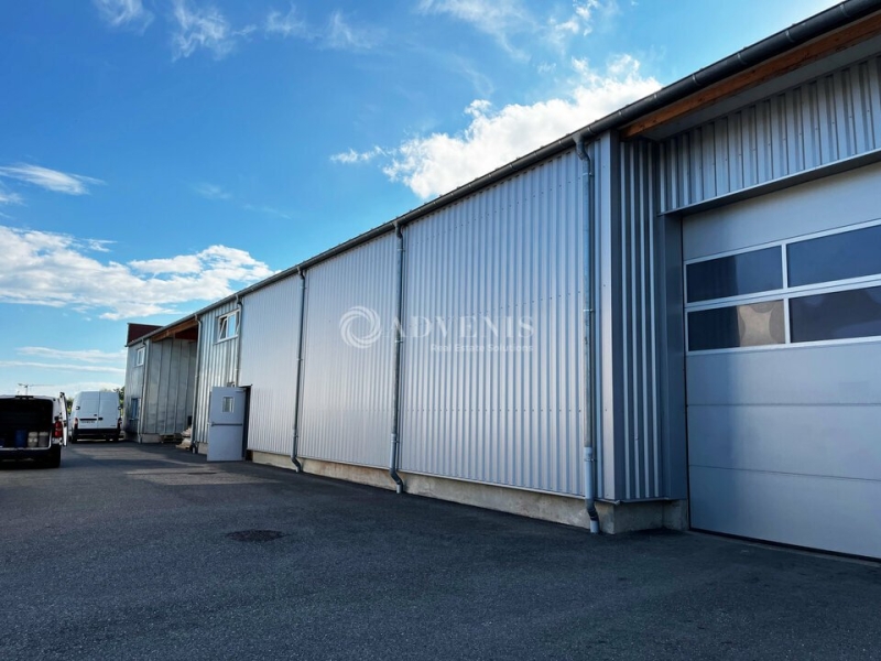 Location Activités Entrepôts BISCHOFFSHEIM (67870) - Photo 1