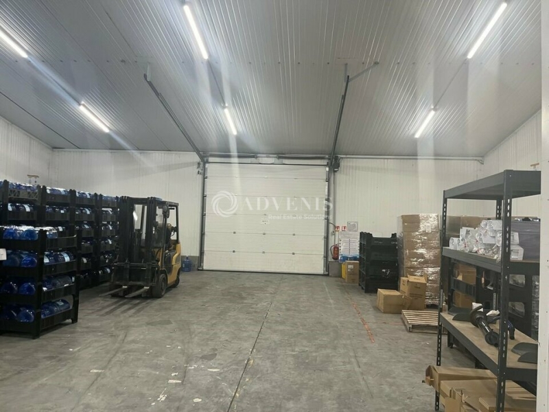 Location Activités Entrepôts HOERDT (67720) - Photo 3