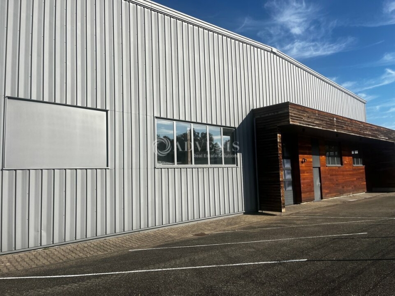 Location Activités Entrepôts ERNOLSHEIM BRUCHE (67120) - Photo 10