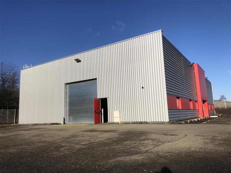 Location Activités Entrepôts OBERNAI (67210) - Photo 4