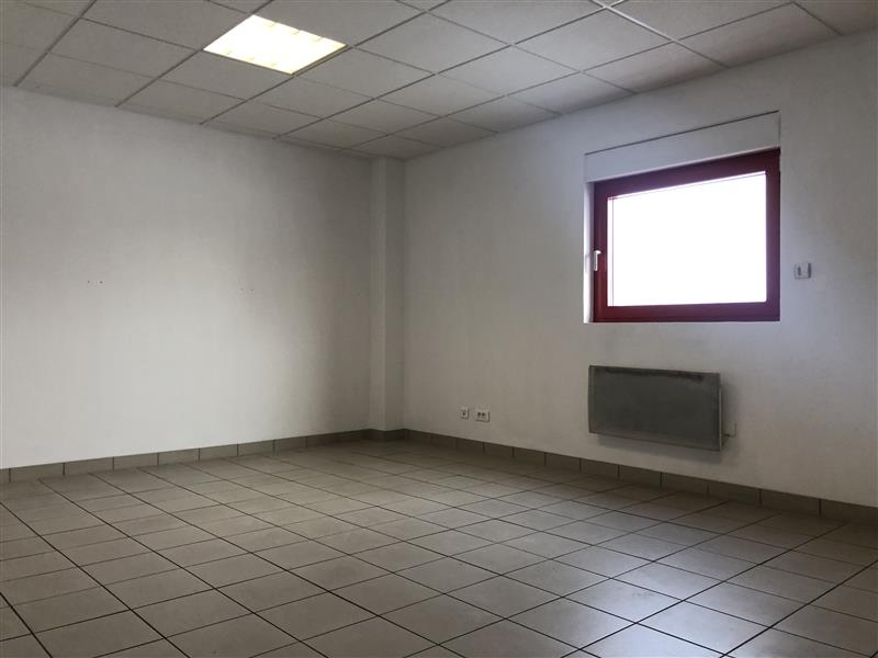 Location Activités Entrepôts OBERNAI (67210) - Photo 8