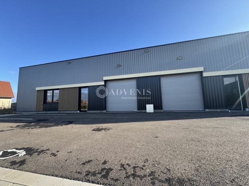 Location Activités Entrepôts WINGERSHEIM (67170) - Photo 6