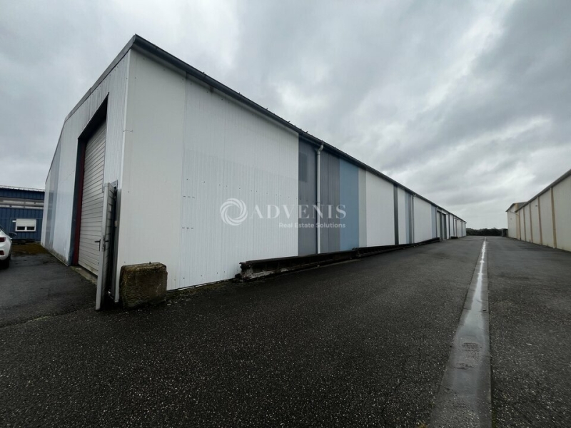 Vente Investisseur Activités Entrepôts DUTTLENHEIM (67120) - Photo 1
