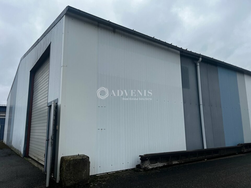 Vente Investisseur Activités Entrepôts DUTTLENHEIM (67120) - Photo 2