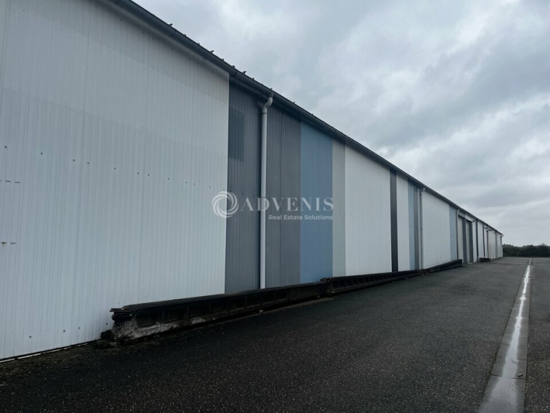 Vente Investisseur Activités Entrepôts DUTTLENHEIM (67120) - Photo 3