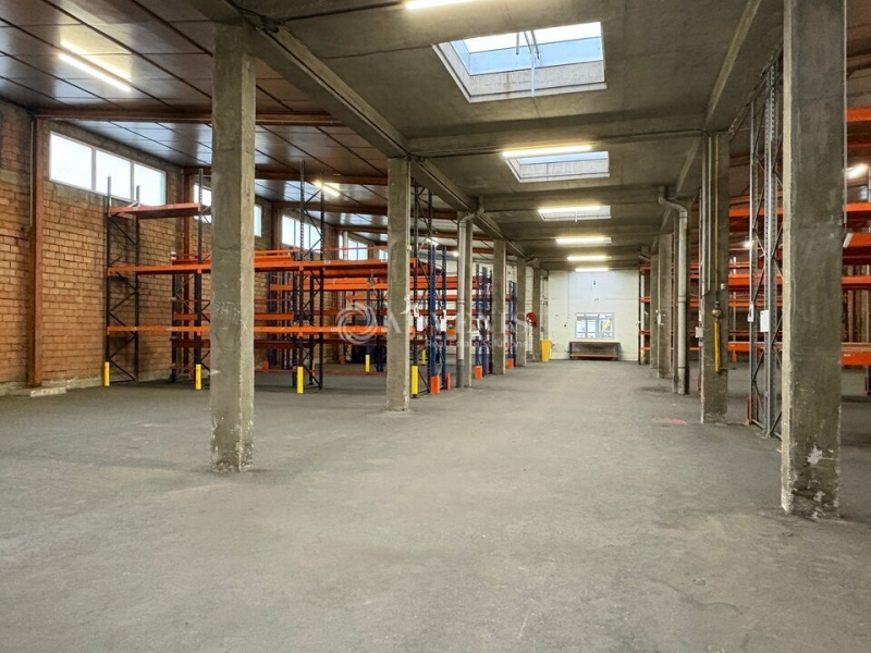 Location Activités Entrepôts REICHSTETT (67116) - Photo 10