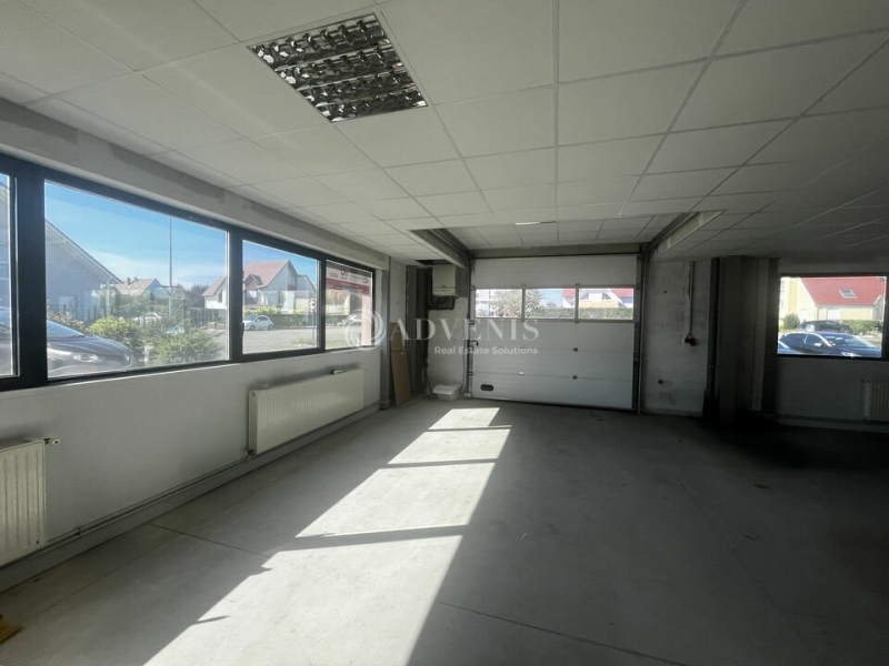 Location Activités Entrepôts BISCHOFFSHEIM (67870) - Photo 4