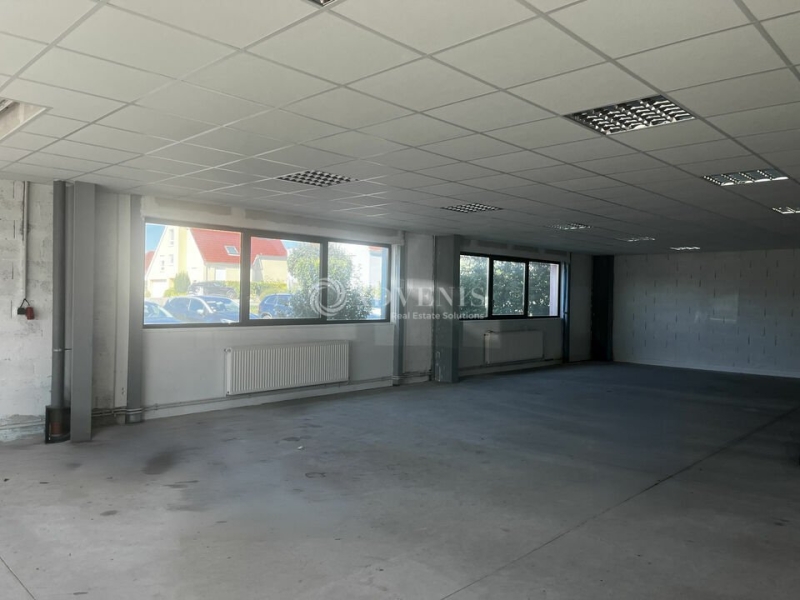 Location Activités Entrepôts BISCHOFFSHEIM (67870) - Photo 5
