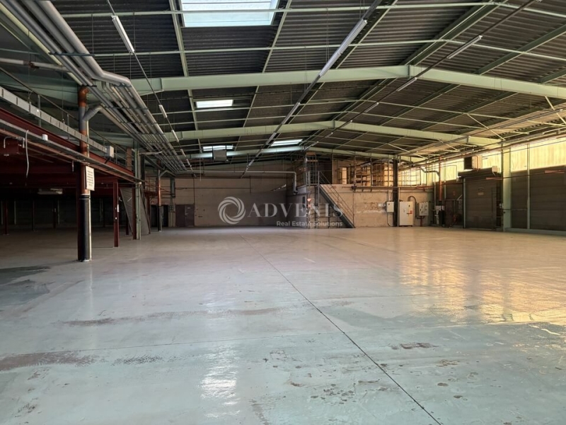 Location Activités Entrepôts DUPPIGHEIM (67120) - Photo 11