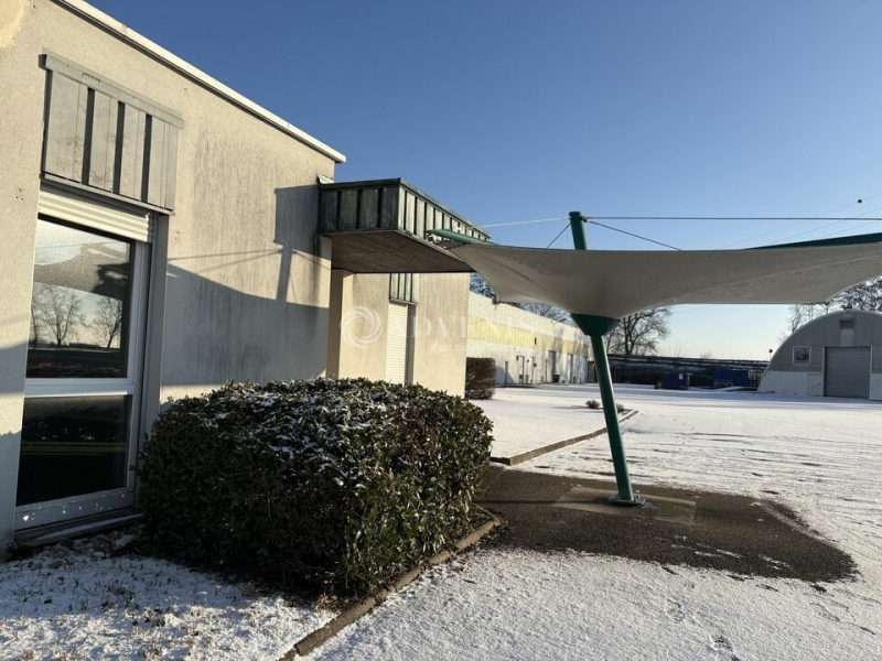 Location Activités Entrepôts DUPPIGHEIM (67120) - Photo 5