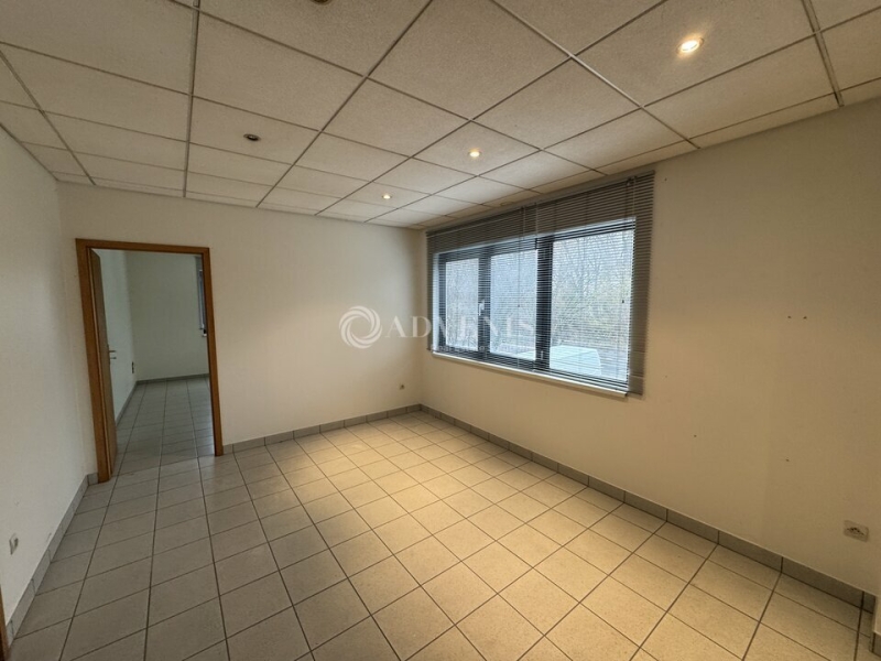 Location Activités Entrepôts OSTWALD (67540) - Photo 8