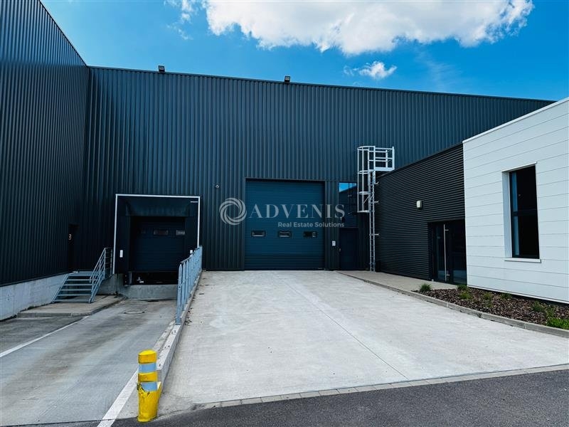 Vente Investisseur Activités Entrepôts REICHSTETT (67116) - Photo 7