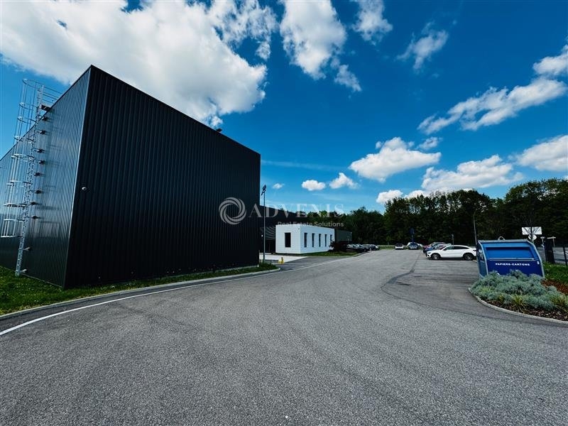 Vente Investisseur Activités Entrepôts REICHSTETT (67116) - Photo 8