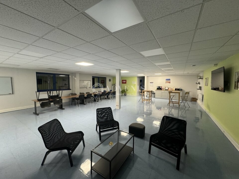 Vente Investisseur Entrepôts GEISPOLSHEIM (67118) - Photo 6