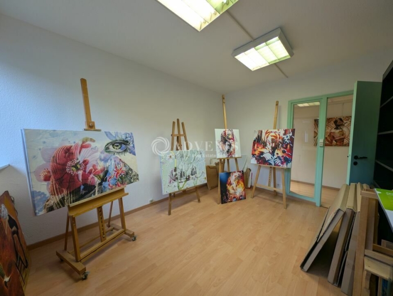 Vente Investisseur Bureaux OBERHAUSBERGEN (67205) - Photo 8