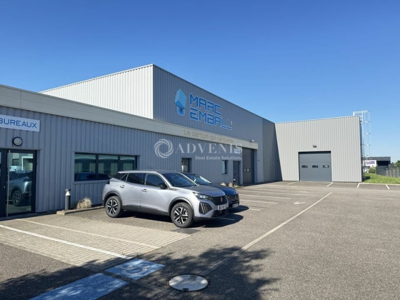 Vente Investisseur Activités Entrepôts HOERDT (67720) - Photo 1