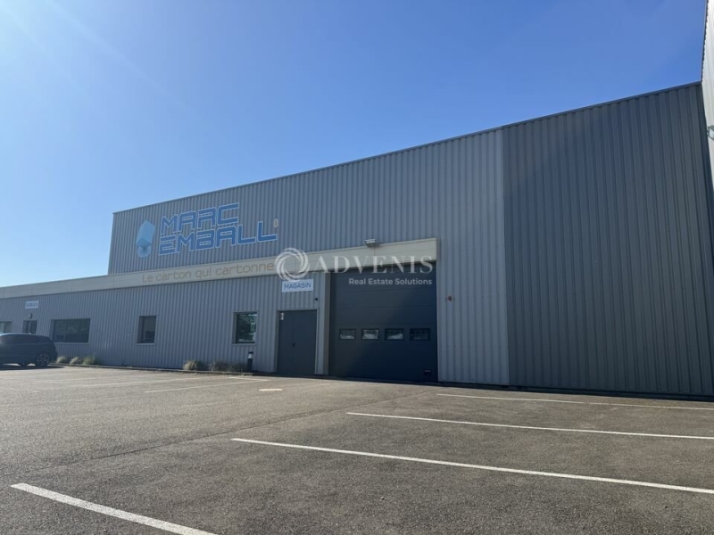 Vente Investisseur Activités Entrepôts HOERDT (67720) - Photo 11