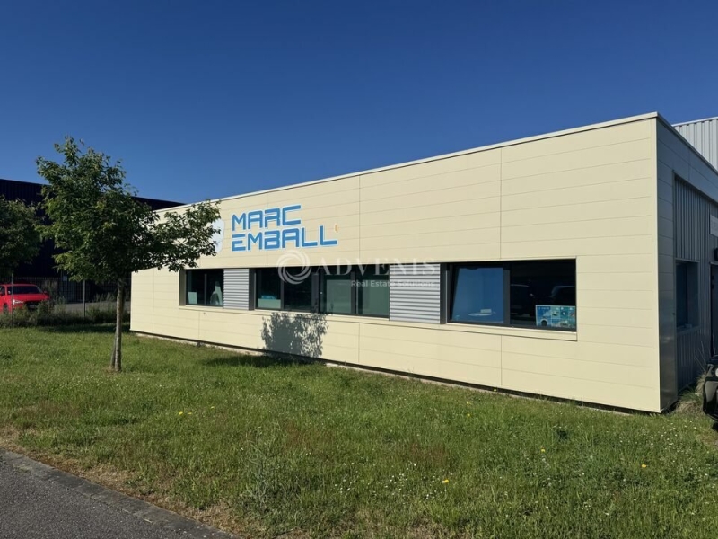 Vente Investisseur Activités Entrepôts HOERDT (67720) - Photo 12