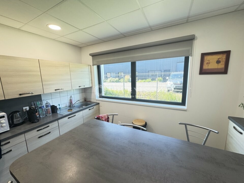 Vente Investisseur Activités Entrepôts HOERDT (67720) - Photo 6