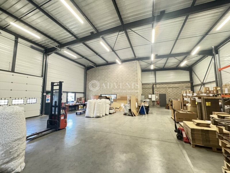 Vente Investisseur Activités Entrepôts HOERDT (67720) - Photo 8