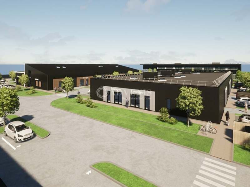 Location Activités Entrepôts GEISPOLSHEIM (67118) - Photo 3
