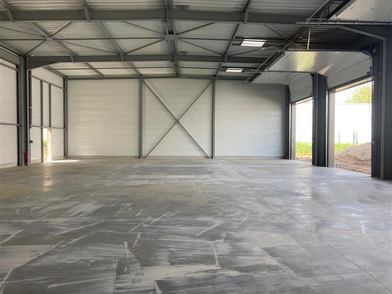 Location Activités Entrepôts MUNDOLSHEIM (67450) - Photo 3