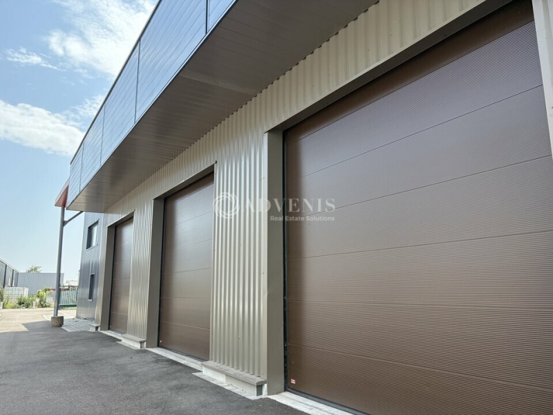Location Bureaux MUNDOLSHEIM (67450) - Photo 4