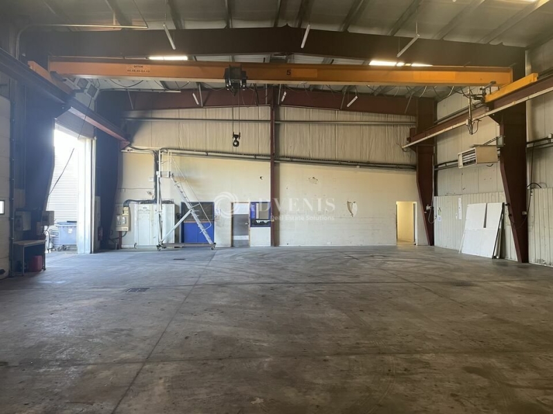 Vente Investisseur Activités Entrepôts PESSAC (33600) - Photo 6