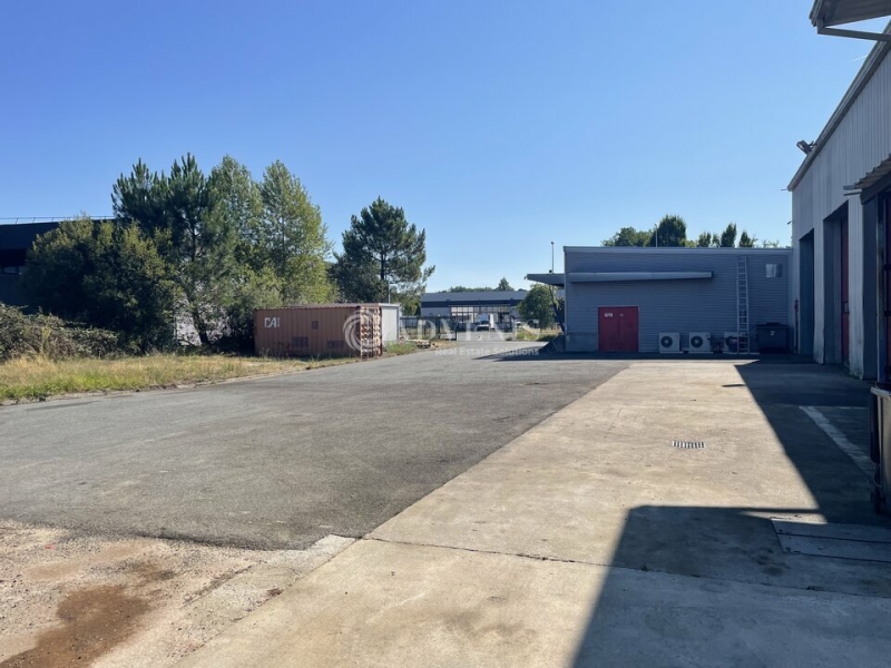 Vente Investisseur Activités Entrepôts PESSAC (33600) - Photo 7