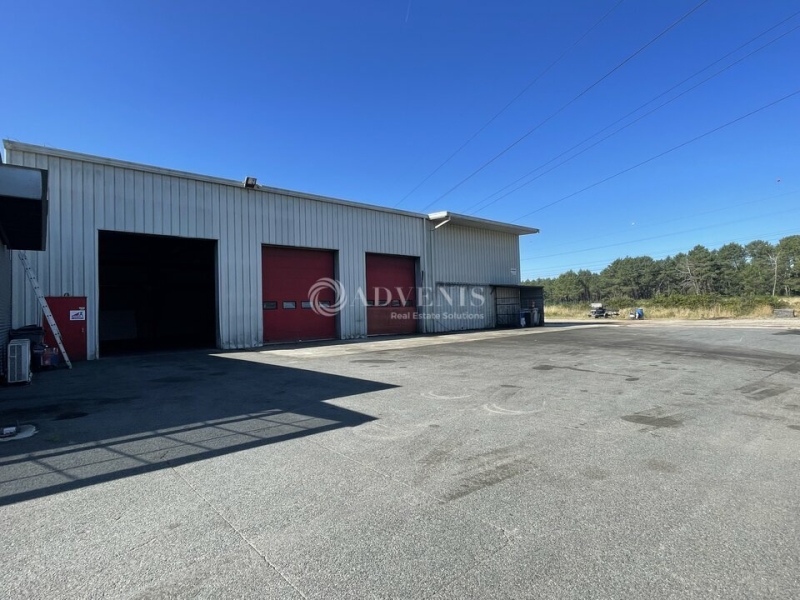 Vente Investisseur Activités Entrepôts PESSAC (33600) - Photo 8