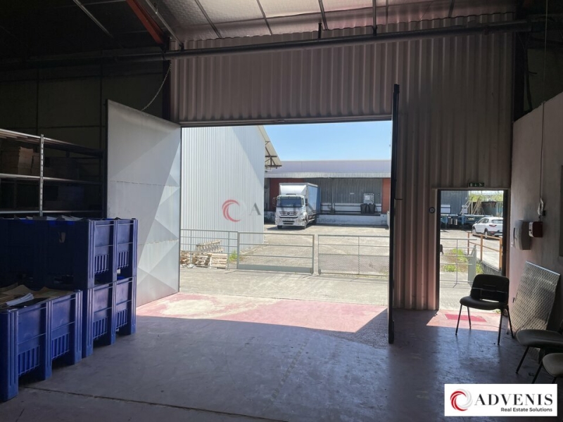 Location Activités Entrepôts VILLENAVE D'ORNON (33140) - Photo 8