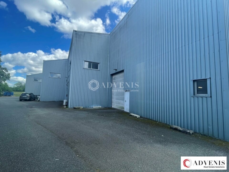 Location Activités Entrepôts VILLENAVE D'ORNON (33140) - Photo 6