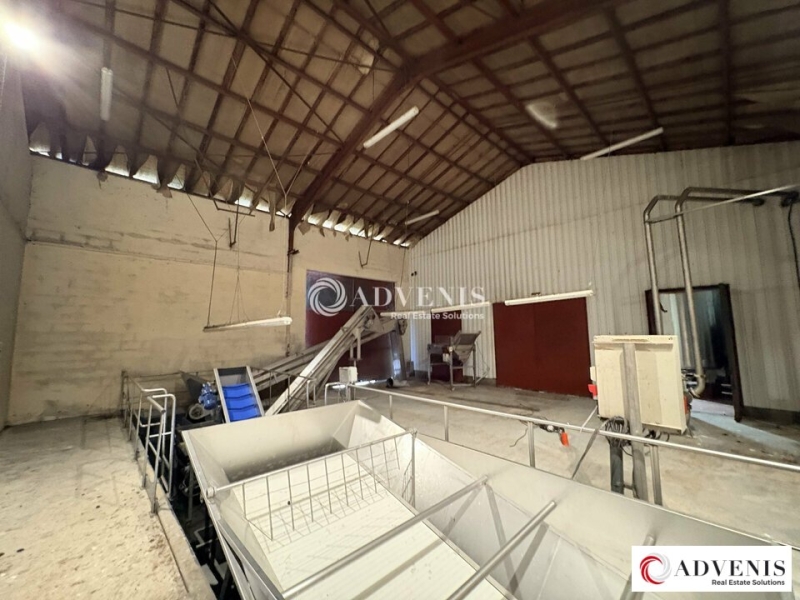 Vente Investisseur Activités Entrepôts BAURECH (33880) - Photo 4