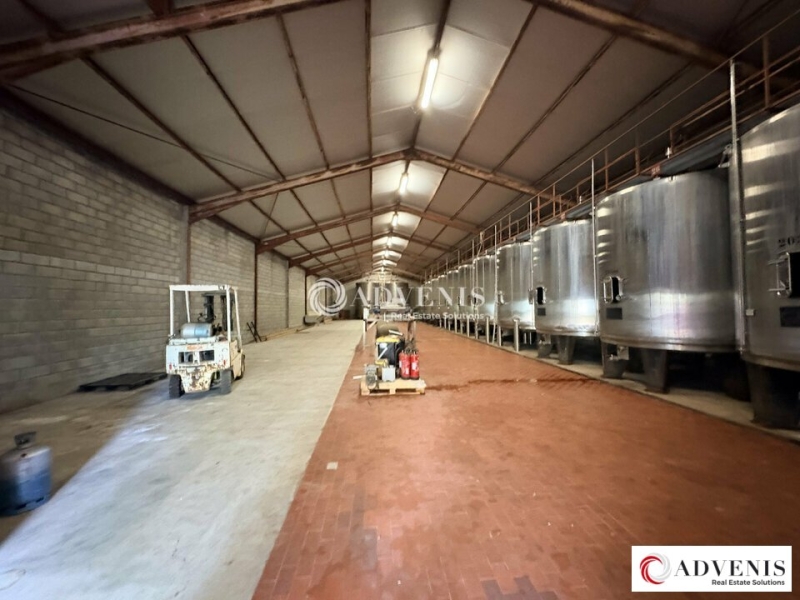 Vente Investisseur Activités Entrepôts BAURECH (33880) - Photo 5