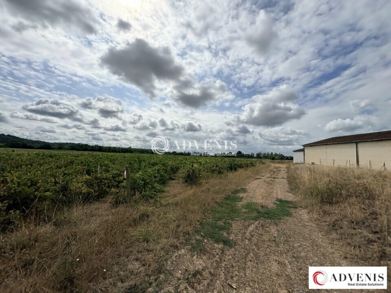 Vente Investisseur Activités Entrepôts BAURECH (33880) - Photo 6
