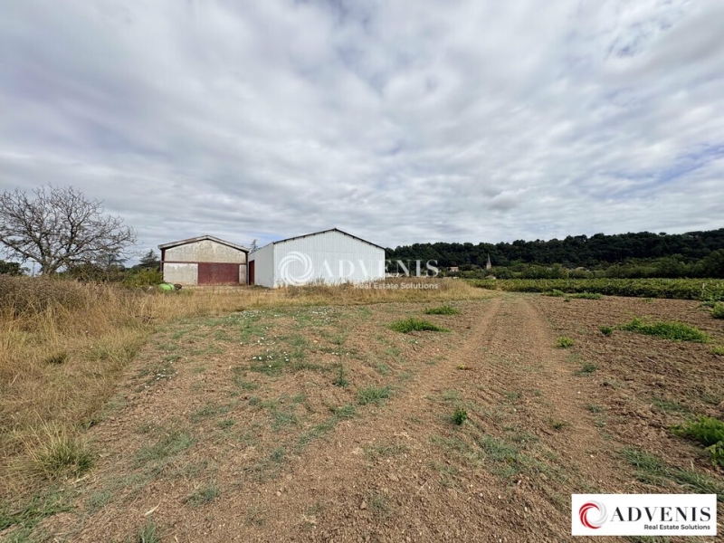 Vente Investisseur Activités Entrepôts BAURECH (33880) - Photo 8