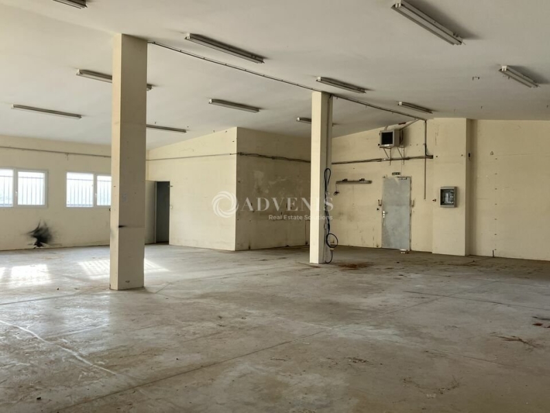 Vente Investisseur Activités Entrepôts FOECY (18500) - Photo 2