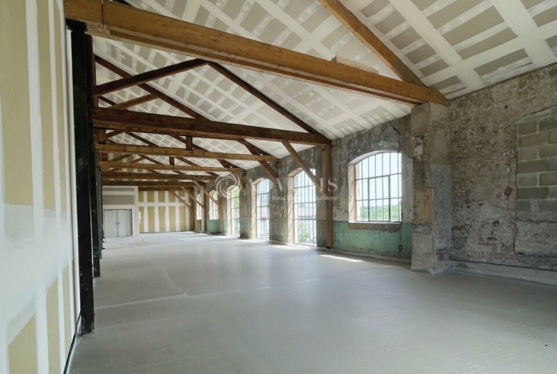 Vente Investisseur Activités Entrepôts CHAPONOST (69630) - Photo 5