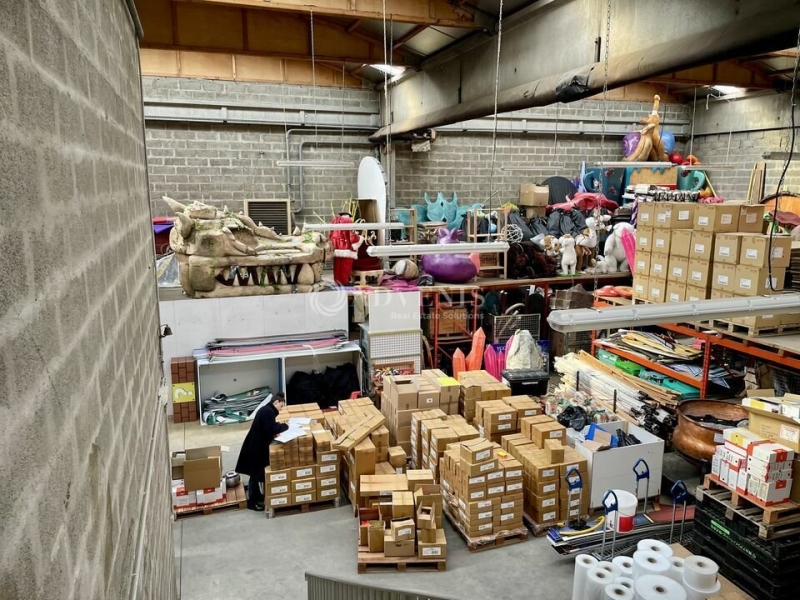 Location Activités Entrepôts CHASSIEU (69680) - Photo 4
