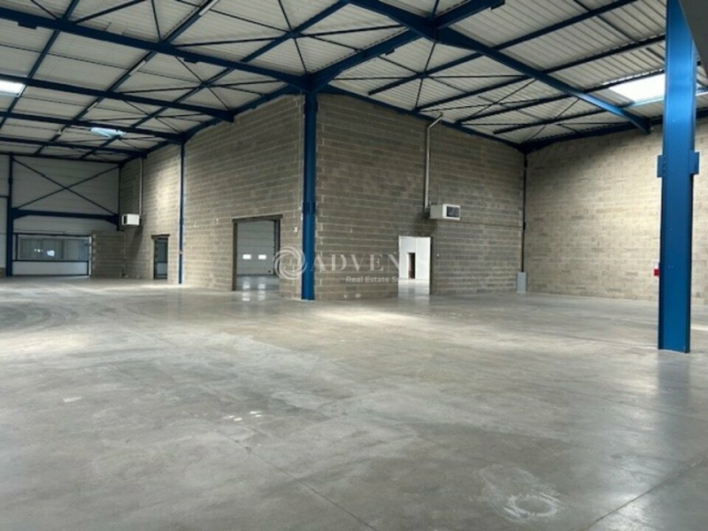 Location Activités Entrepôts DAGNEUX (01120) - Photo 1
