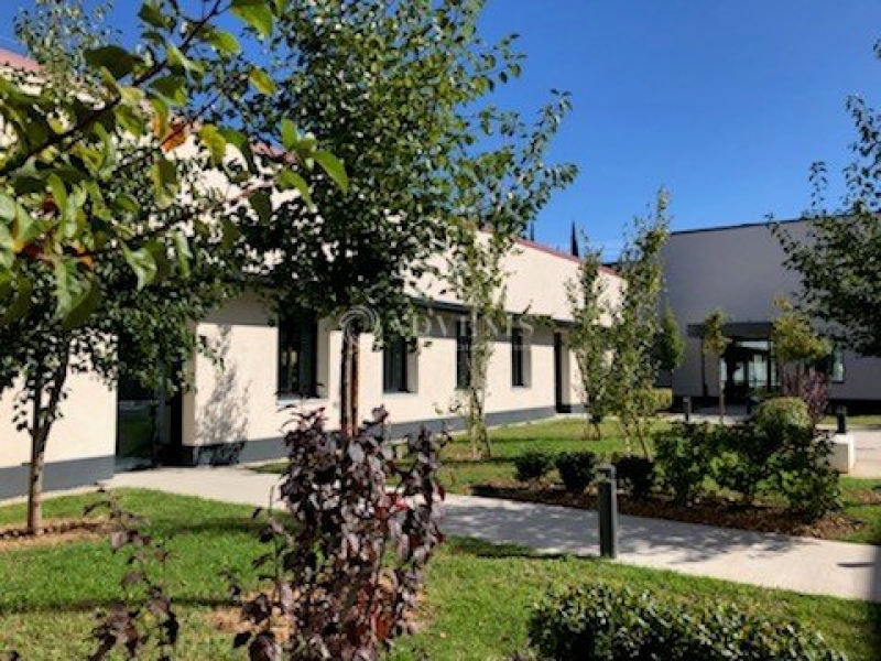 Location Activités Entrepôts VENISSIEUX (69200) - Photo 1