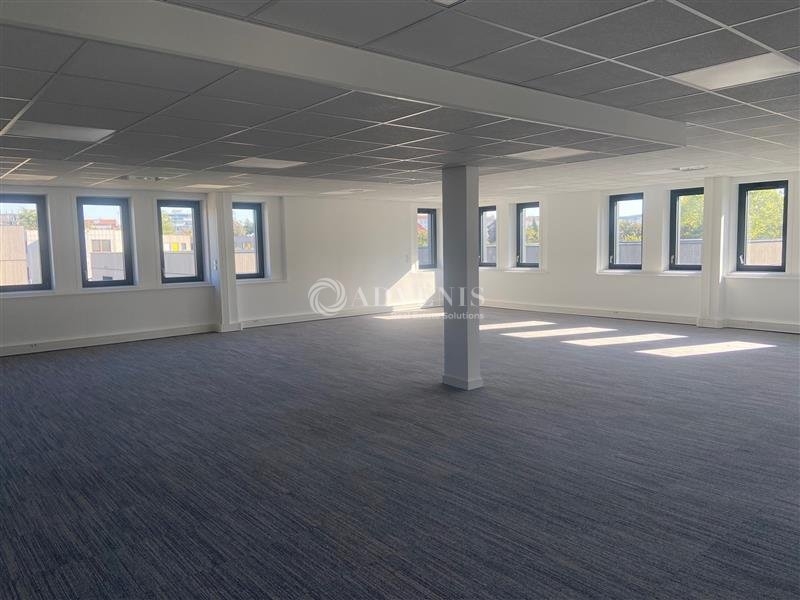 Location Activités Entrepôts VENISSIEUX (69200) - Photo 3