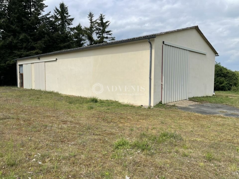 Vente Investisseur Activités Entrepôts LA FERTE BERNARD (72400) - Photo 1