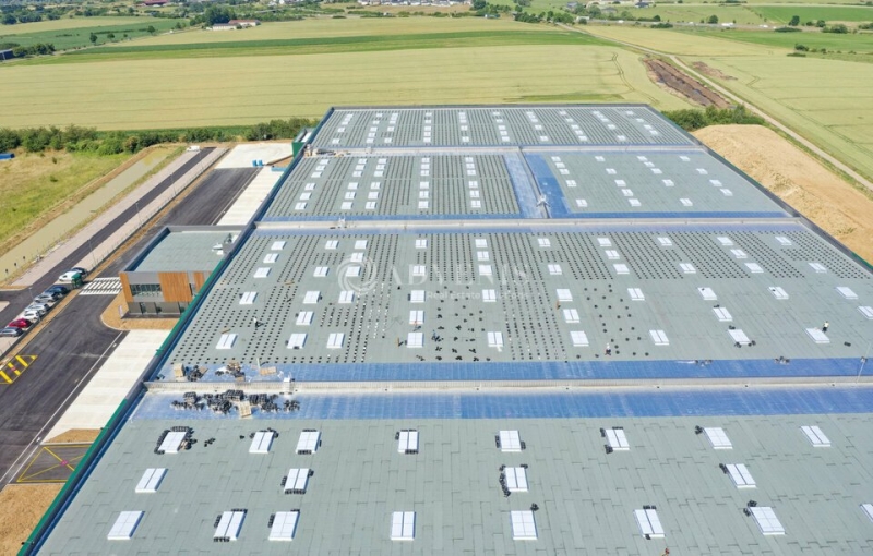 Vente Investisseur Entrepôts ATTON (54700) - Photo 4