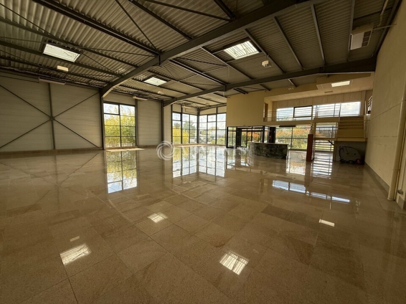 Location Commerces OLIVET (45160) - Photo 4