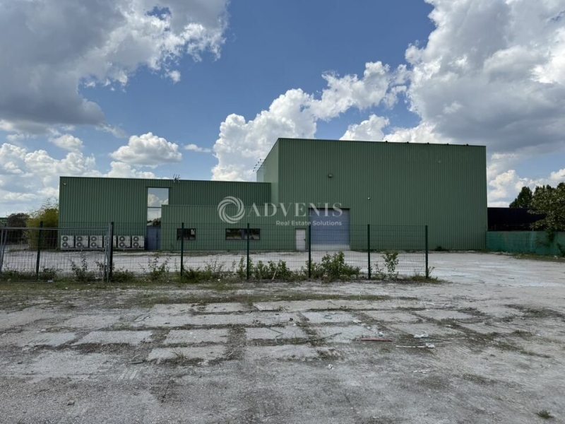Location Commerces OLIVET (45160) - Photo 8