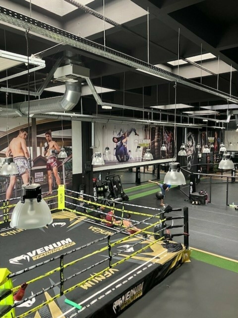 Location Activités Entrepôts RUNGIS (94150) - Photo 5