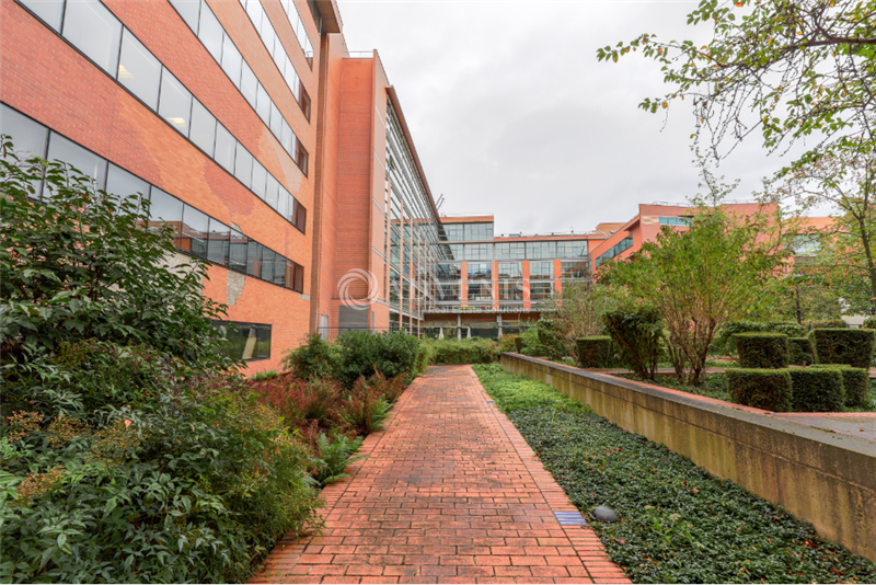 Vente Investisseur Bureaux IVRY SUR SEINE (94200) - Photo 14