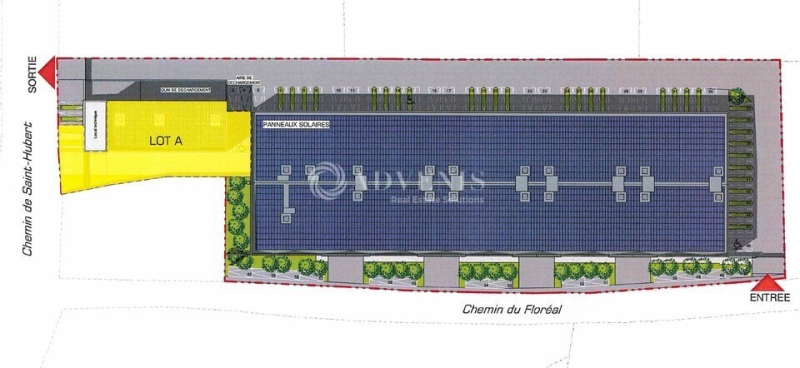 Vente Investisseur Activités Entrepôts LATTES (34970) - Photo 5