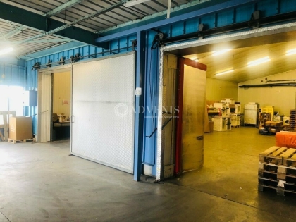 Advenis RES - Immobilier d'entreprises